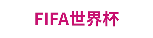 FIFA世界杯